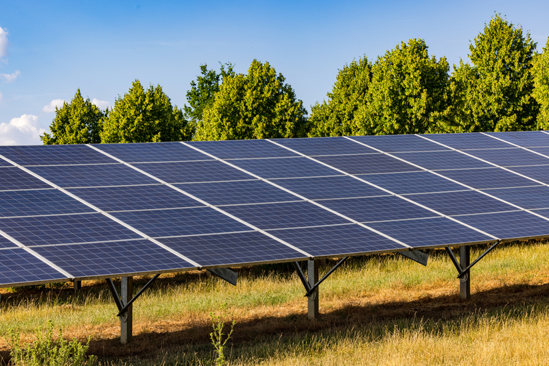 Energiewende auf Mallorca: Wie der Ausbau von Solarparks das Insel-Erbe gefährdet